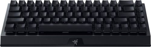 купить Клавиатура Razer RZ03-03890100-R3M1 Mechanical BlackWidow V3 Mini (Yellow Switch) US Layout в Кишинёве 