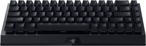 купить Клавиатура Razer RZ03-03891400-R3M1 Mechanical BlackWidow V3 Mini (Green Switch) US Layout в Кишинёве 