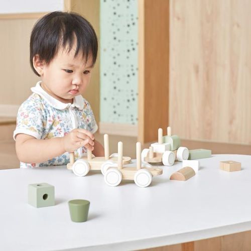 cumpără Puzzle Viga 44231 Sorter Trenulețul verde în Chișinău 