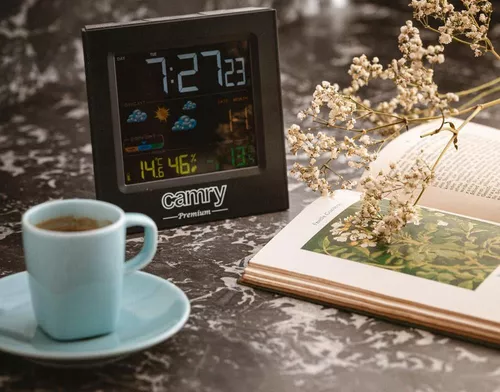 купить Погодная станция Camry CR 1166 в Кишинёве 