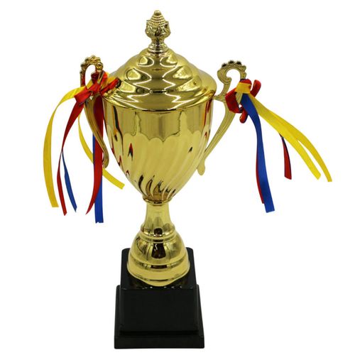 cumpără Cupă de premiere miscellaneous Cupa metal 41cm 243-1229 în Chișinău 