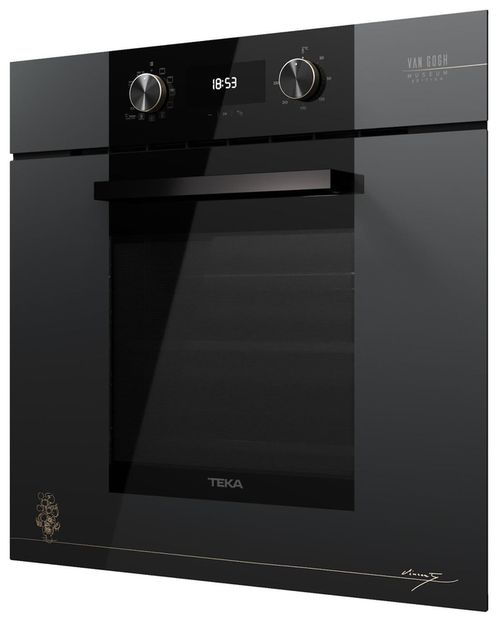 cumpără Cuptor electric încorporabil Teka HLB 84-V Gogh în Chișinău 