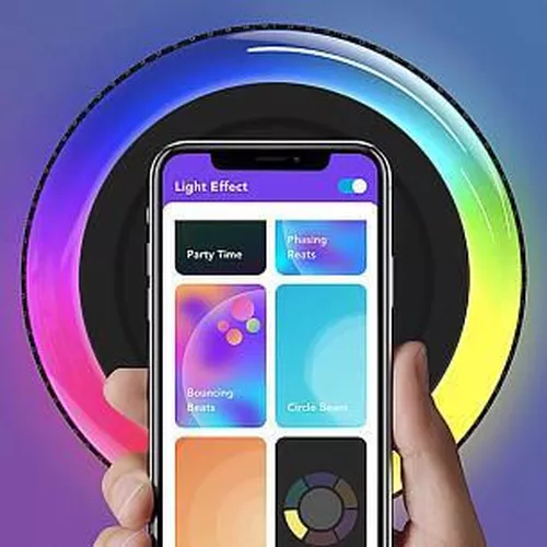 купить Колонка портативная Bluetooth Soundcore Flare 2 black в Кишинёве 