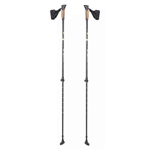 cumpără Bețe pentru trekking inSPORTline 13585 Baston treking IN20305 (2buc) 83-135cm Hallti în Chișinău 