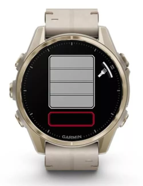 купить Смарт часы Garmin Fenix 8 – 43 mm, Sapphire, Soft Gold Stainless Steel with Fog Gray Leather Band, Fog Gray (010-02903-40) в Кишинёве 