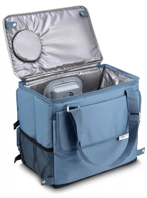 купить Сумка холодильник Coolfort CF-0232 в Кишинёве 