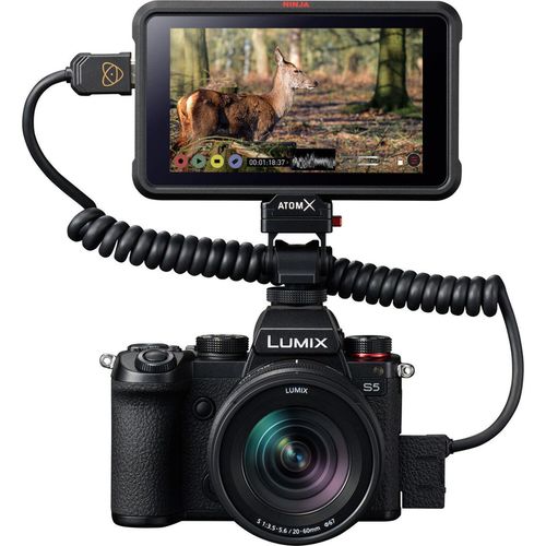 купить Фотоаппарат беззеркальный Panasonic DC-S5KEE-K в Кишинёве 