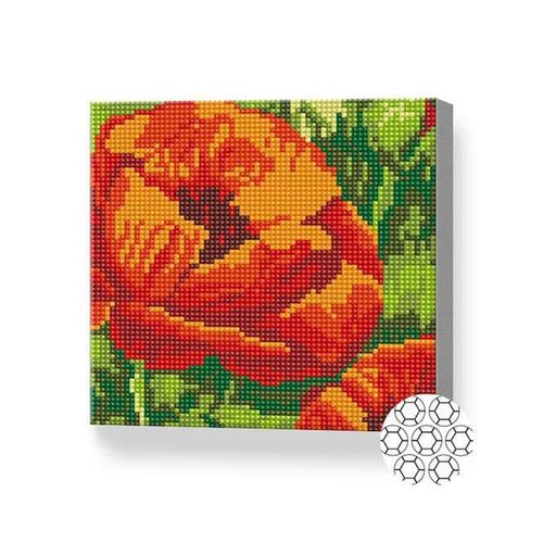 купить Картина по номерам Art Gallery BJ1024 Mozaic cu diamante 20x20cm Mac в Кишинёве 