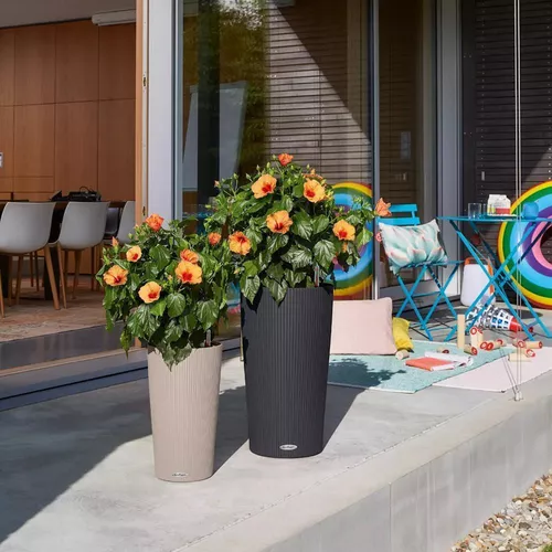 купить Цветочный горшок Lechuza Cilindro Color 32, Slate в Кишинёве 