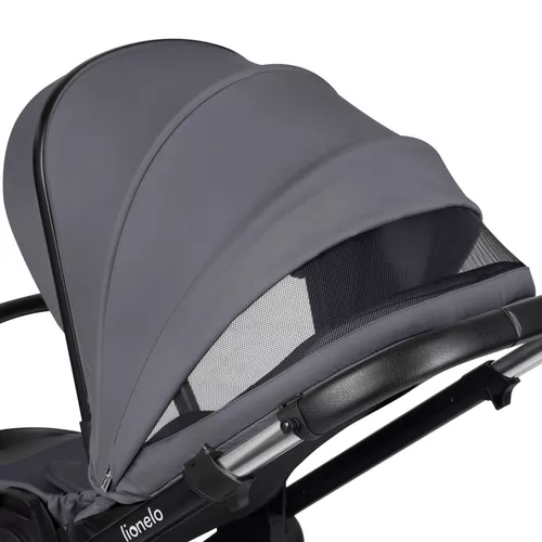 купить Детская коляска Lionelo Carucior 2in1 Layla Grey Stone в Кишинёве 