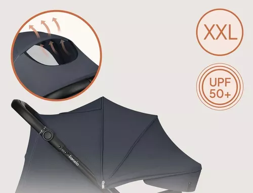 купить Детская коляска Lionelo Iva Grey Graphite в Кишинёве 