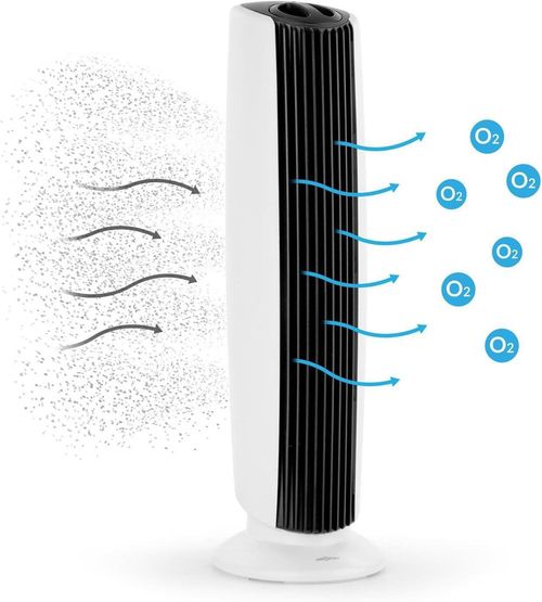 купить Очиститель воздуха OneConcept St. Oberholz XL White/Black в Кишинёве 