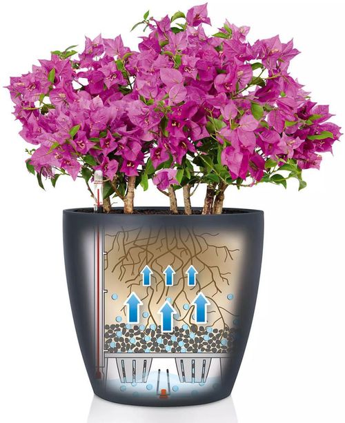 купить Цветочный горшок Lechuza Classico Color 18, Sand Brown в Кишинёве 