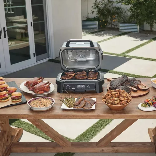 купить Гриль-барбекю электрический NINJA OG850EU в Кишинёве 