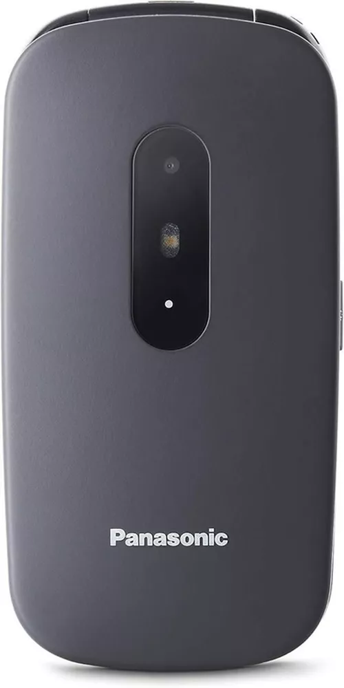 купить Телефон мобильный Panasonic KX-TU446EXG в Кишинёве 