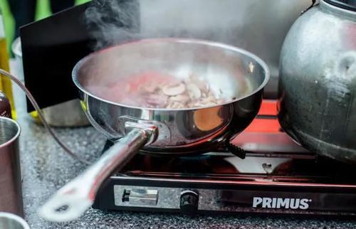 купить Сковорода Primus CampFire Frying Pan S.S. 21 cm в Кишинёве 