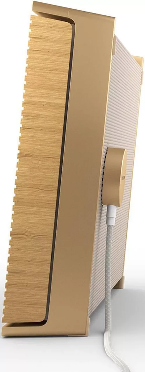 купить Колонка портативная Bluetooth Bang & Olufsen Beosound Level Gold Tone Alu в Кишинёве 