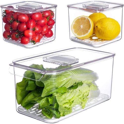 cumpără Container alimentare Vacane 6539 Pentru păstrare fructe/legume în frigider set 3buc în Chișinău 
