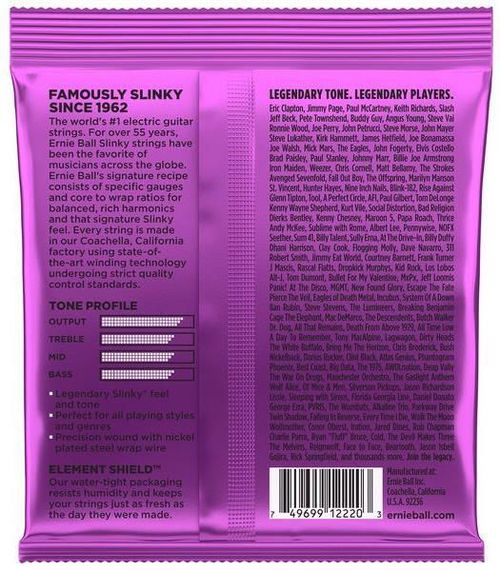 cumpără Coarda pentru instrument muzical Ernie Ball 2220 Nickel Wound - Corzi Chitară Electrică în Chișinău 