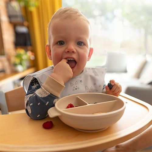 купить Посуда для кормления BabyOno 1661/03 Placa de silicon cu ventuza si capac (bej) в Кишинёве 