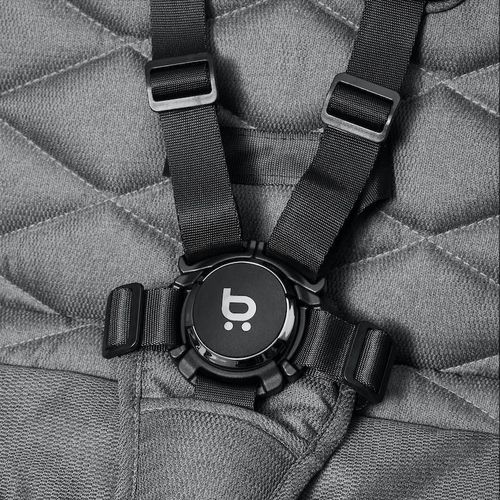 cumpără Сărucior pentru copii 4Baby Xplode Chrome Steel Graphite în Chișinău 