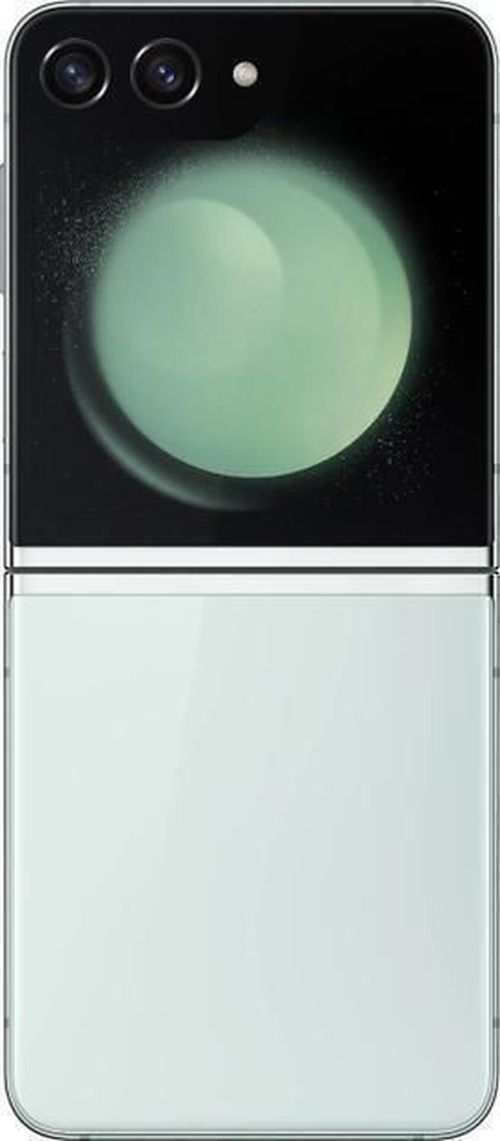 купить Смартфон Samsung F731B/256 Galaxy Flip5 Light Green в Кишинёве 