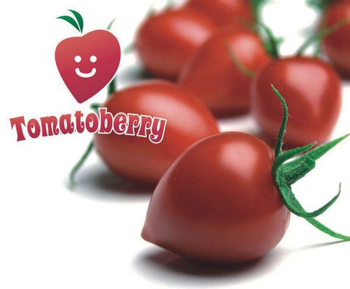 Gardenberry (Tomatoberry) F1 
