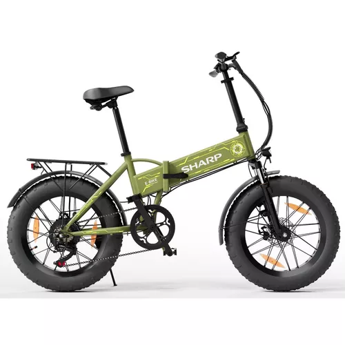 cumpără Bicicletă Sharp BK-FS08E-GY în Chișinău 