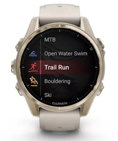 купить Смарт часы Garmin Fenix 8 – 43 mm, Sapphire, Soft Gold with Fog Gray (010-02903-11) в Кишинёве 