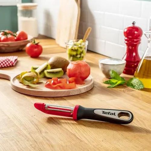 cumpără Decojitor legume si fructe Tefal K2074014 Comfort în Chișinău 