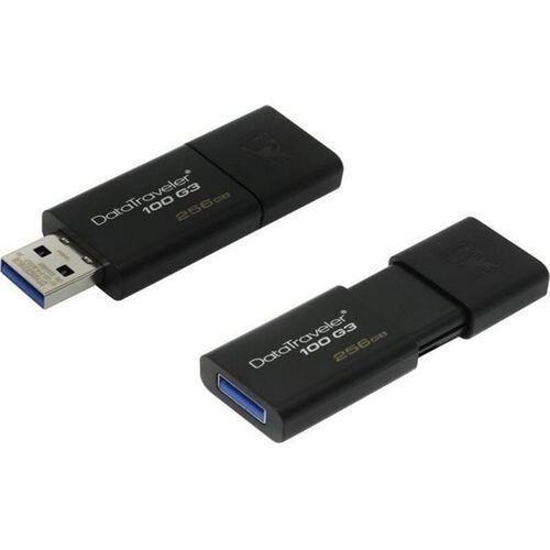 купить Флеш память USB Kingston DT100G3/256GB в Кишинёве 
