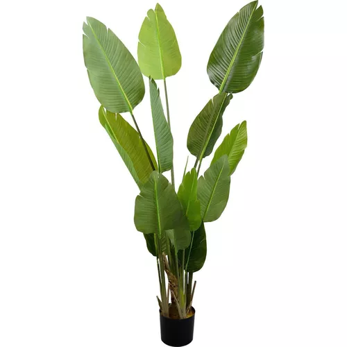 купить Искусственное растение Deco Arborele Strelitzia 170 в Кишинёве 
