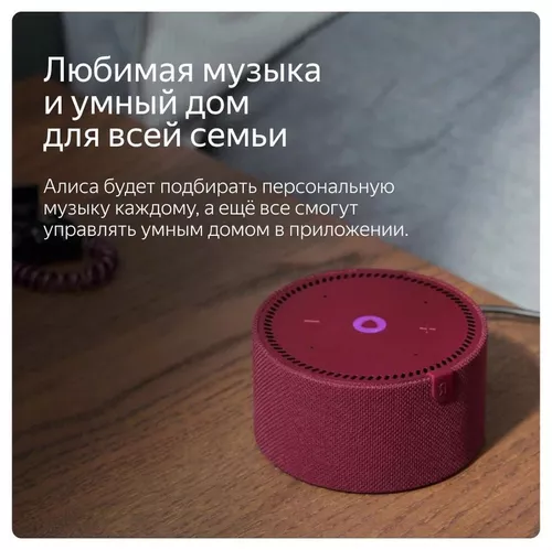 cumpără Boxă portativă Bluetooth Yandex YNDX-00020G Alisa Station Mini Gray în Chișinău 