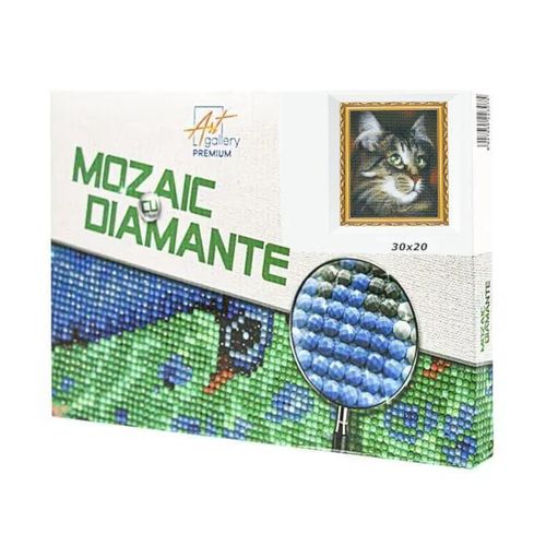 купить Картина по номерам Art Gallery JS27625 Mozaic cu diamante 20x30cm Motan cu ochi verzi в Кишинёве 