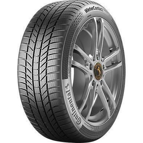 купить Шина Continental 255/55 R 19 WinterContact TS870P 111V XL FR в Кишинёве 