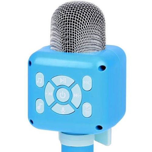 купить Музыкальная игрушка Essa 3002 Microfon karaoke wireless cu Bluetooth (în asort.) в Кишинёве 