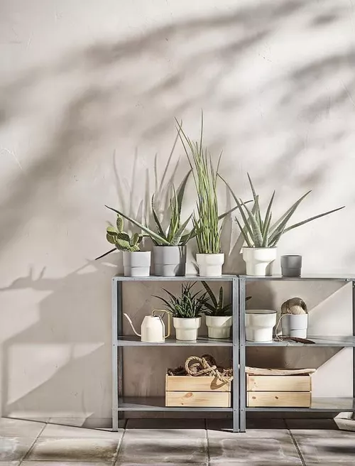 купить Офисный стеллаж Ikea Hyllis 60x27x74 inox в Кишинёве 