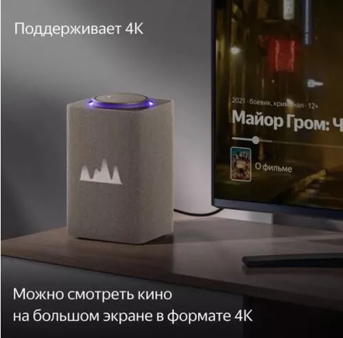 cumpără Boxă portativă Bluetooth Yandex YNDX-00053E Alisa Station Max Beige în Chișinău 
