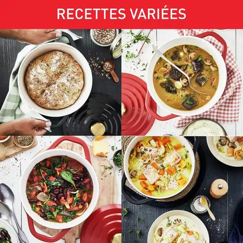 купить Кастрюля Tefal E2558904 Air 5,7l в Кишинёве 