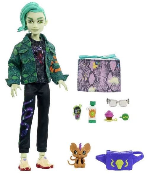 cumpără Păpușă Mattel HHK56 Monster High în Chișinău 