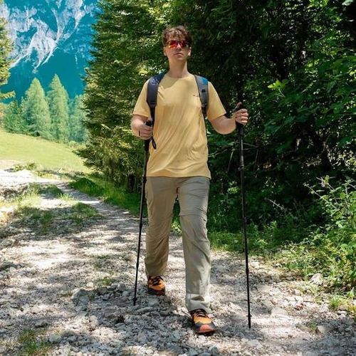 cumpără Bețe pentru trekking Masters SPEEDSTER Full Calu (01S2119/01S0125) în Chișinău 