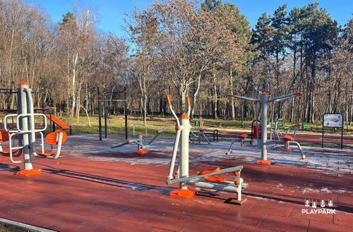 купить Уличный тренажер PlayPark 2129 Bicicleta eliptică B-29 в Кишинёве 