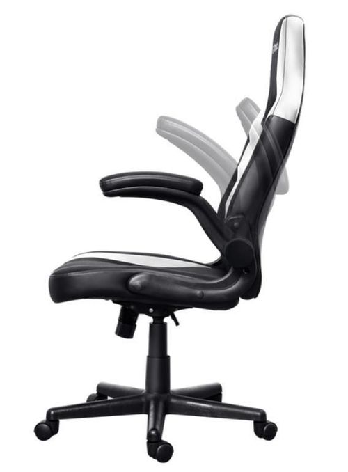 купить Офисное кресло Trust GXT 703W RIYE Black/White в Кишинёве 