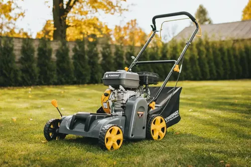 купить Аэратор для газона Powermat PM-AWS-65 скарификатор в Кишинёве 