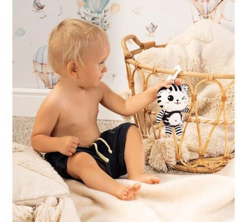 купить Игрушка-подвеска Akuku 99994 Игрушка плюш Cat A0658 в Кишинёве 