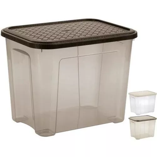 cumpără Cutie depozitare Tontarelli 39565 Combi Arianna 67l, 58.2X38XH45.8cm în Chișinău 