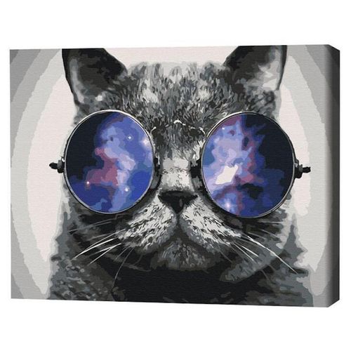 купить Картина по номерам BrushMe BS29637FC 40x50cm(fără cutie) Pisicul în Miami в Кишинёве 
