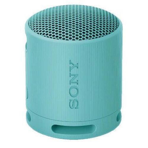 купить Колонка портативная Bluetooth Sony SRSXB100L в Кишинёве 