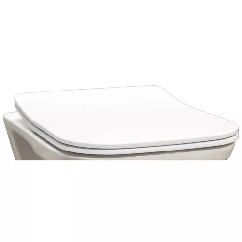 купить Сиденье для унитаза Ege Vitrifye EVB3091, capac WC, soft close OLYMPOS в Кишинёве 