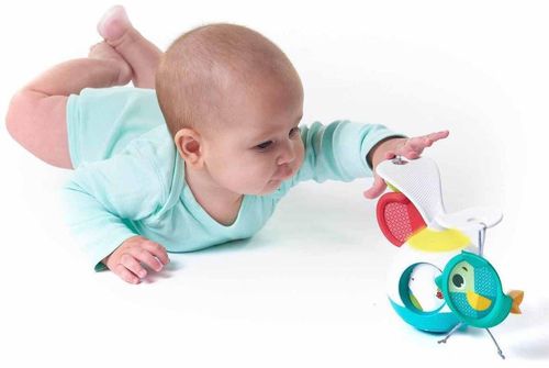 cumpără Carusel pentru pătuț Tiny Love 3333130601 Carusel mobil 2in1 Meadow Days, 0+ luni, Multicolor în Chișinău 